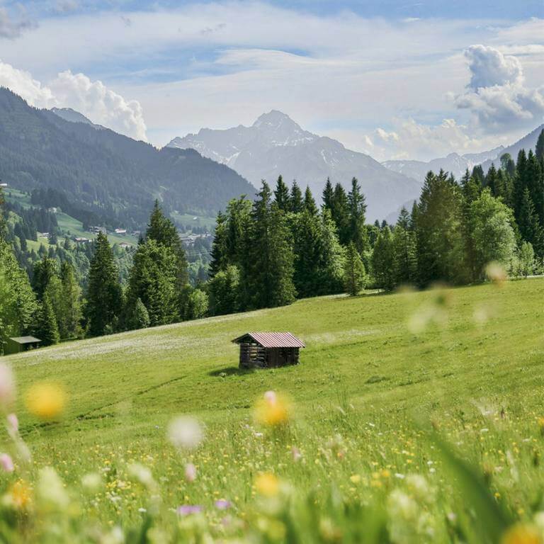 Mountain landscape